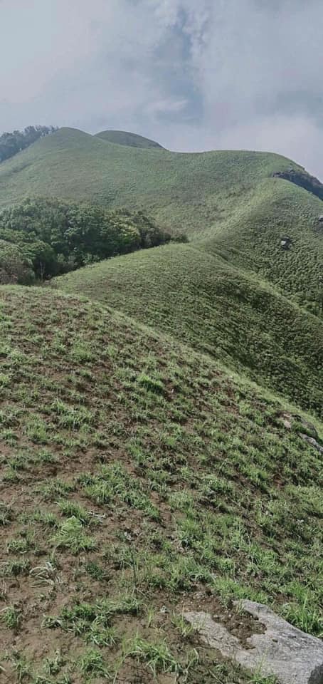 ดอยม่อนจอง