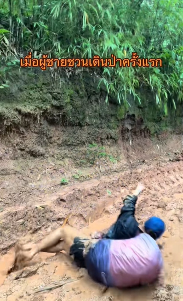 เดินป่า