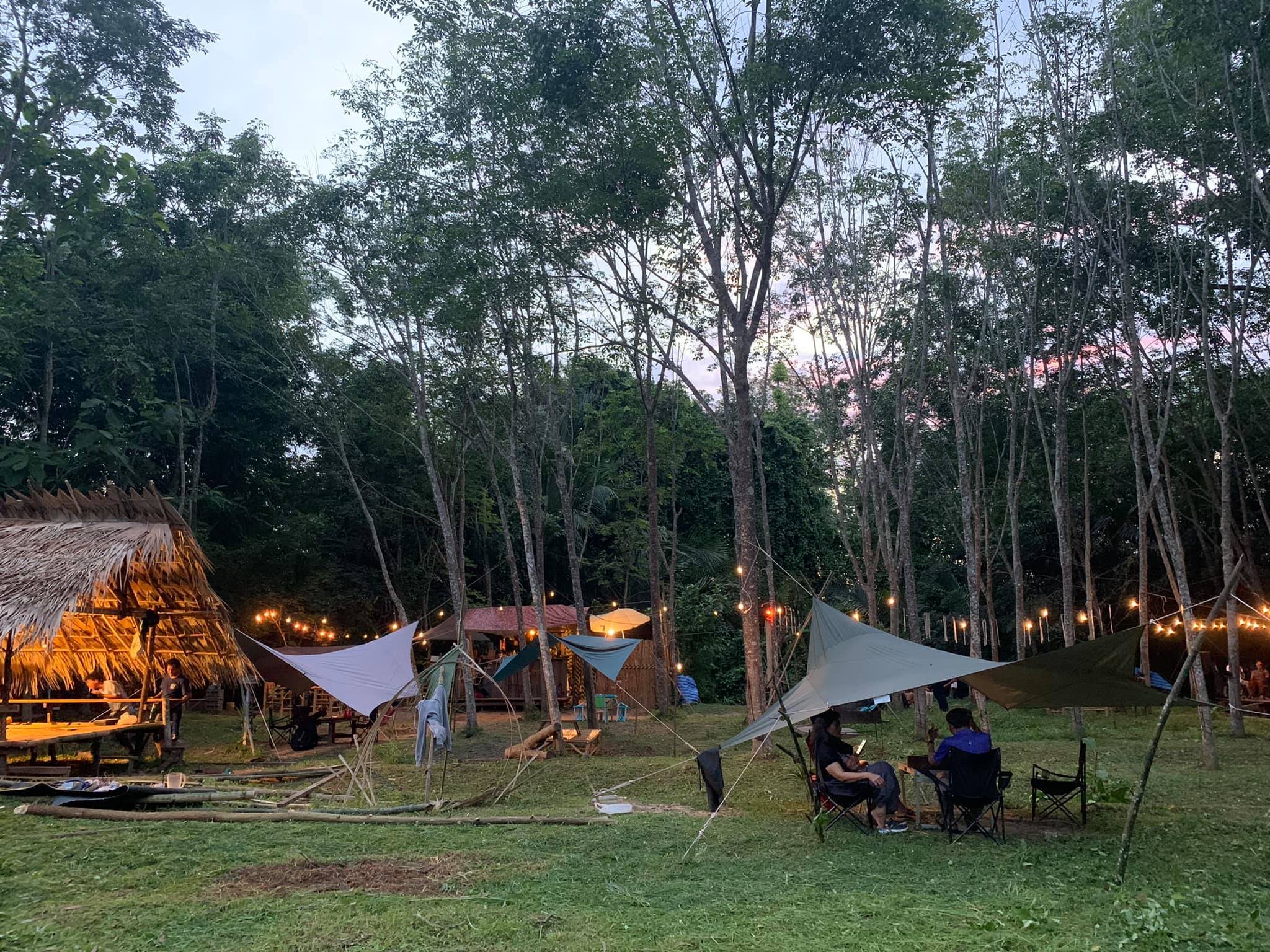 คาเฟ่ในสวนยาง