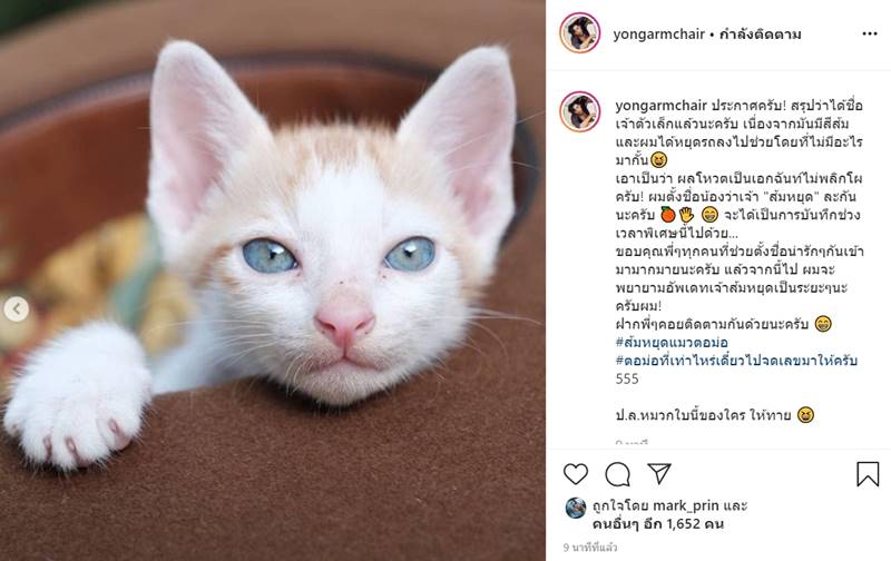 โย่ง อาร์มแชร์