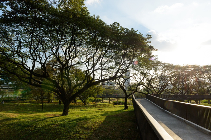 สวนเบญจกิติ