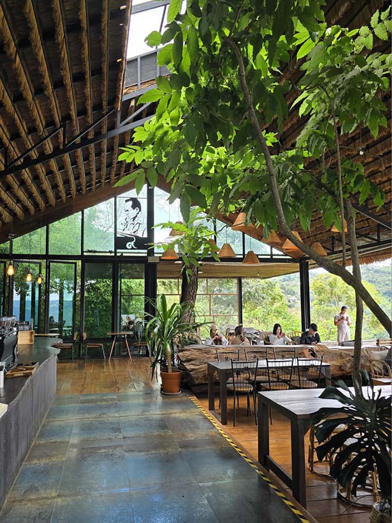 YAYO FARM ร้านกาแฟดอยช้าง จ.เชียงราย
