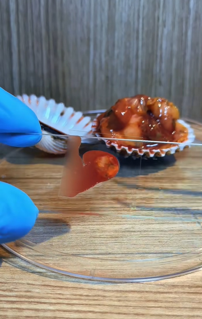 หอยแครง