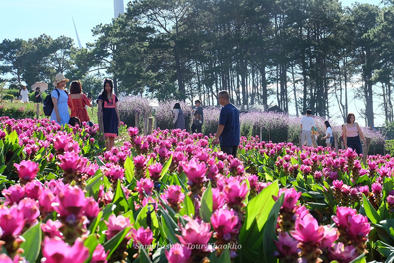 ที่เที่ยวเดือนสิงหาคม