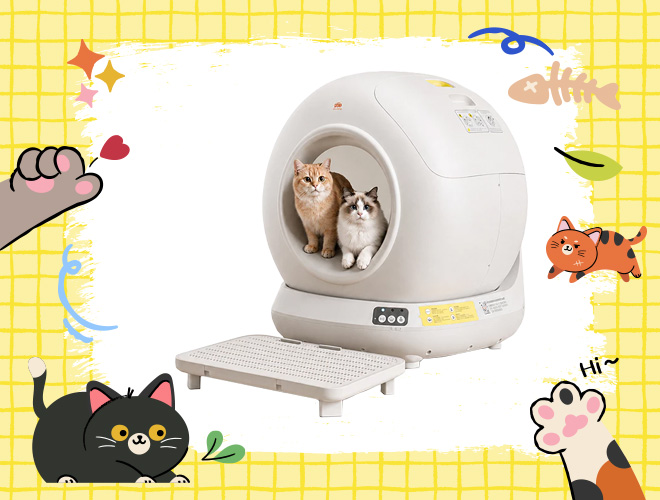 ห้องน้ำแมวอัจฉริยะ น่าซื้อ 2569