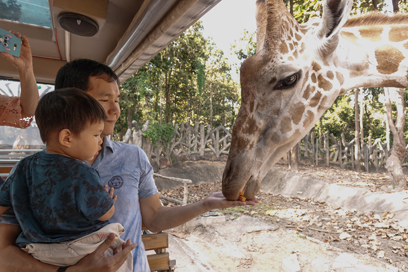 ที่เที่ยวเดือนมกราคม 2568 เชียงใหม่ ไนท์ซาฟารี จังหวัดเชียงใหม่