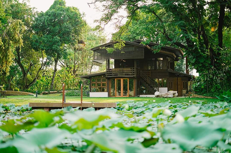 ร้านกาแฟเชียงใหม่ ธรรมชาติ