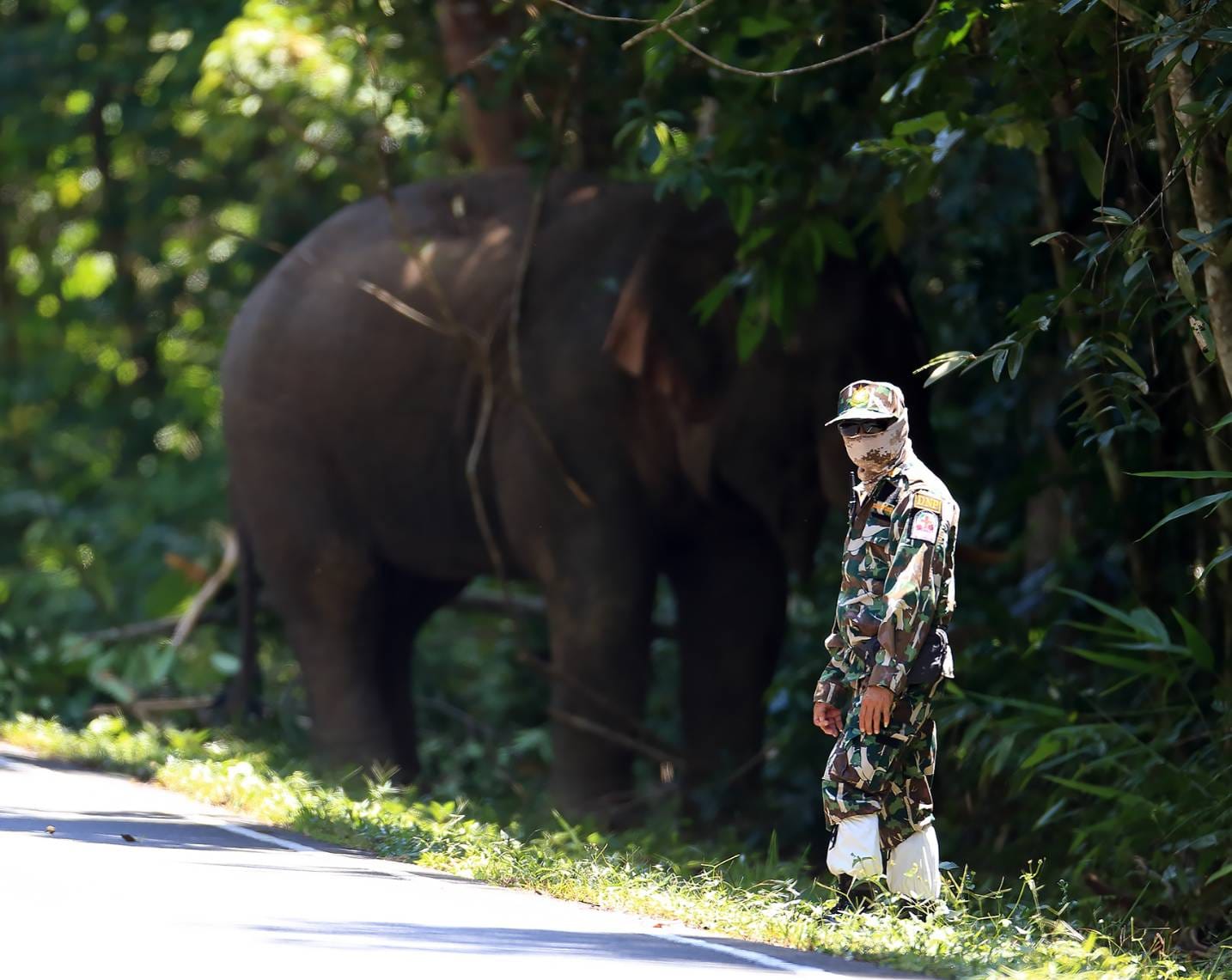 มิตรภาพต่างสายพันธุ์