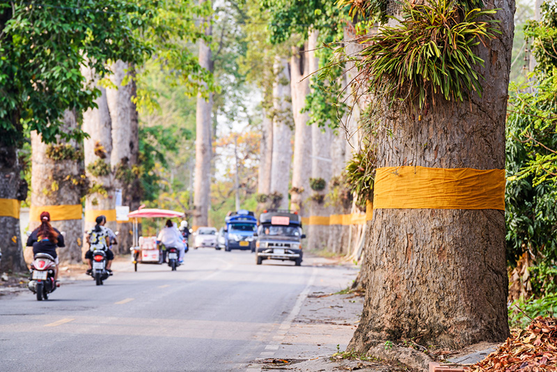 ถนนสวย ในไทย