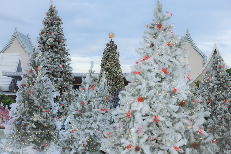 พิกัดถ่ายรูปหิมะตกในไทย Central Village Outlet