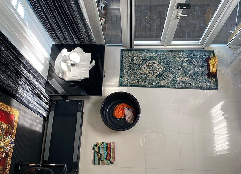 พชร์ อานนท์