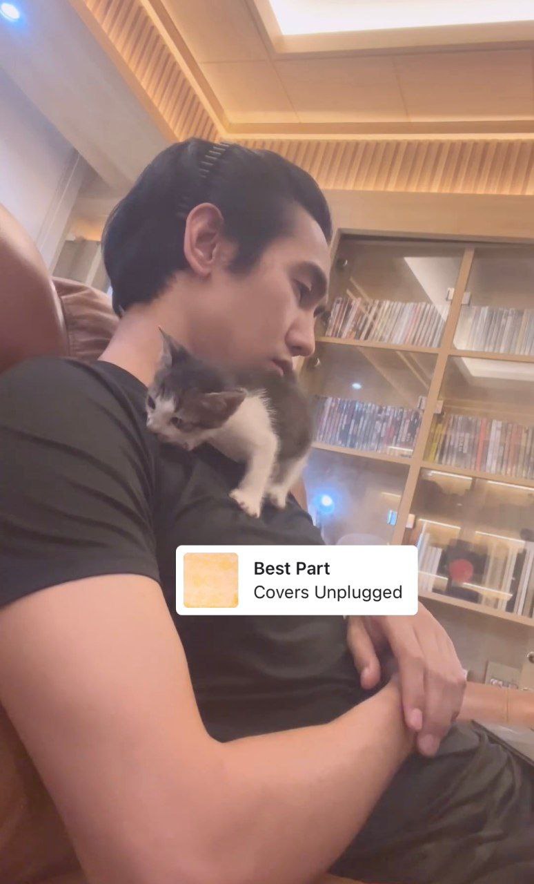 ก๊อต จิรายุ แมว