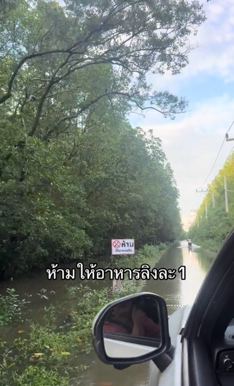 ครูผู้ช่วย