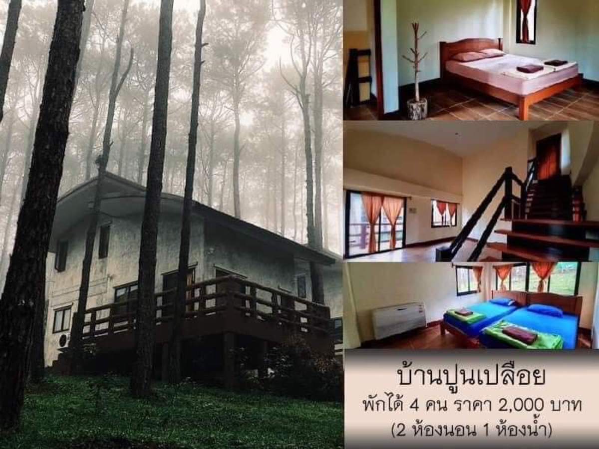 สวนป่าดอยบ่อหลวง เชียงใหม่
