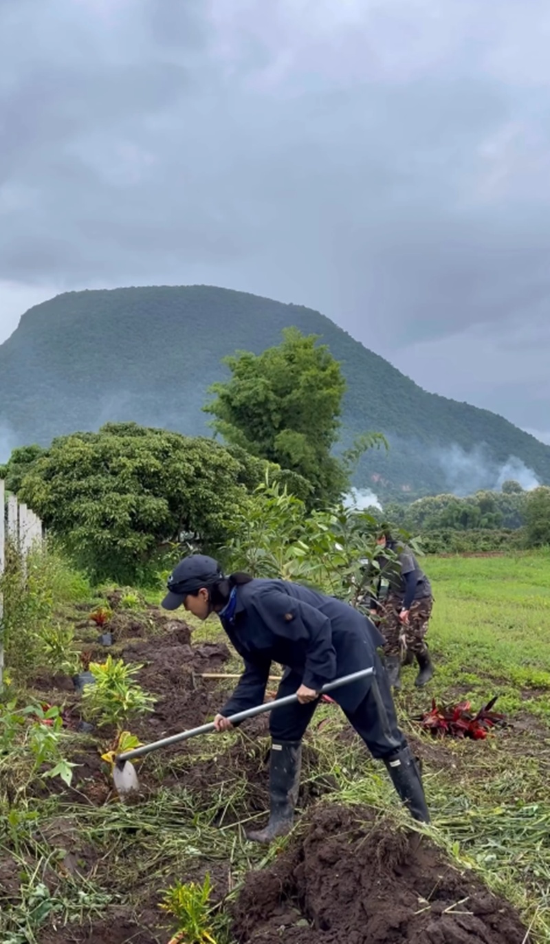 บ้านแพรี่พาย