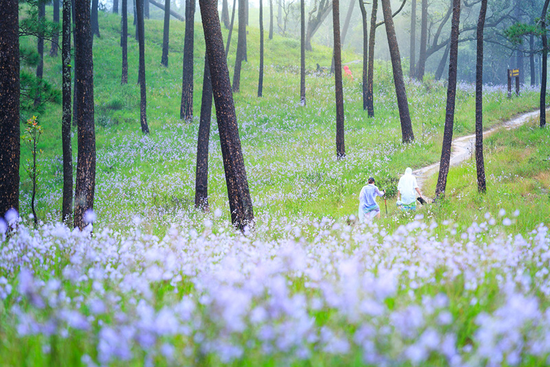 ที่เที่ยวเดือนมิถุนายน