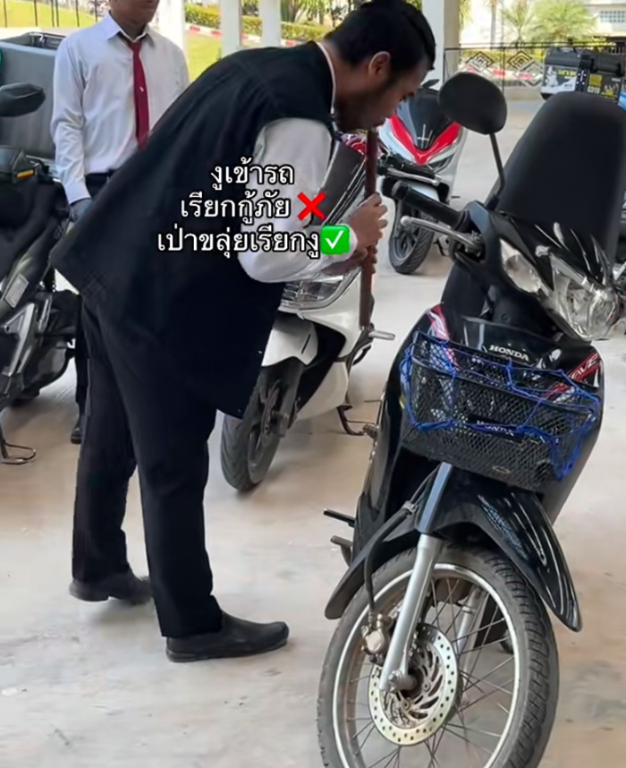 งูเข้ารถ