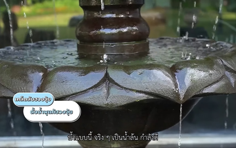 บ้าน มดดำ คชาภา