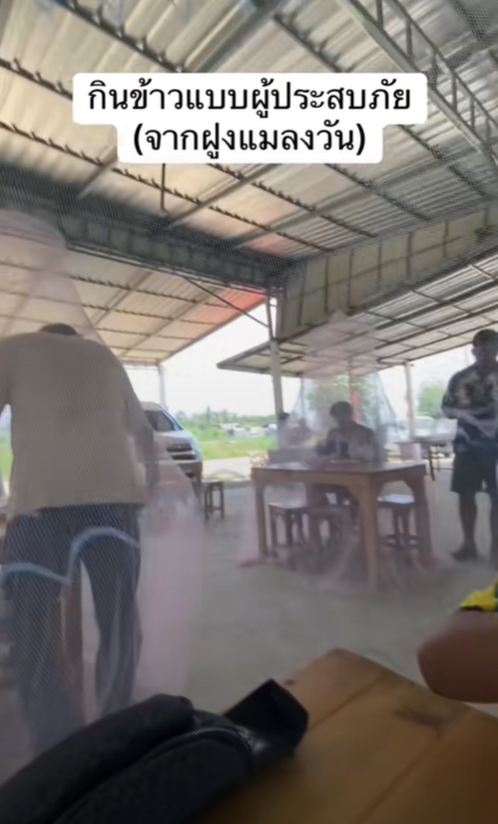 กางมุ้ง