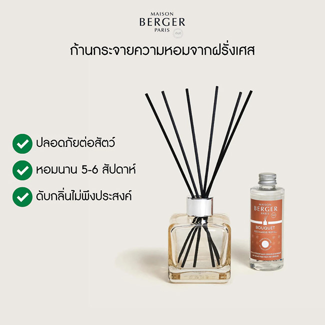 Maison Berger Paris Functional Diffuser