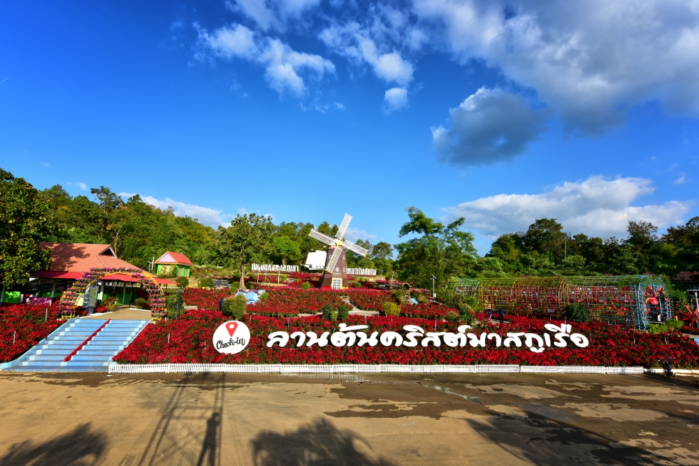 ลานต้นคริสต์มาสภูเรือ