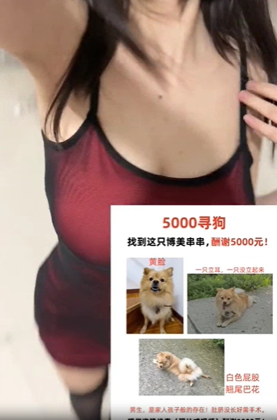 ประกาศหมาหาย