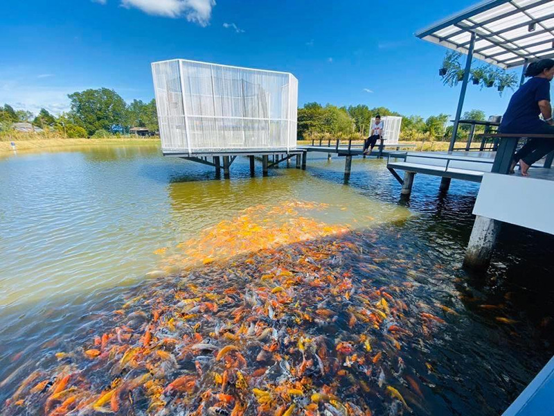 ร้านคาเฟ่สัตว์