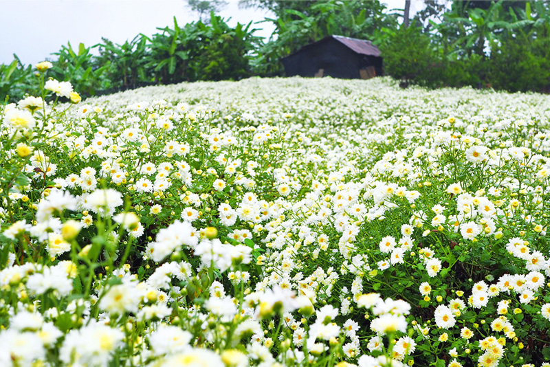 ที่เที่ยวเดือนพฤศจิกายน 2564