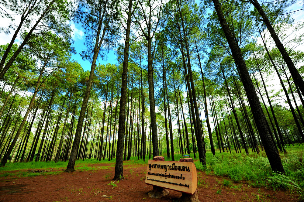 ที่เที่ยวหน้าหนาว 2566