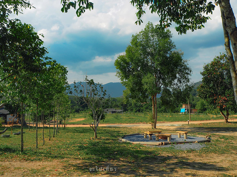 ที่เที่ยวหน้าหนาว ใกล้กรุงเทพฯ