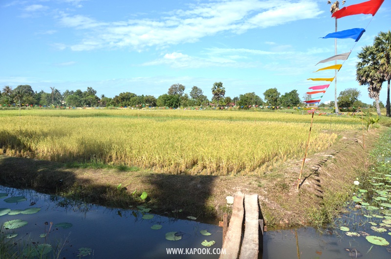 เที่ยวพัทยาเส้นทางใหม่ชุมชนวิถีเกษตรและวัฒนธรรม