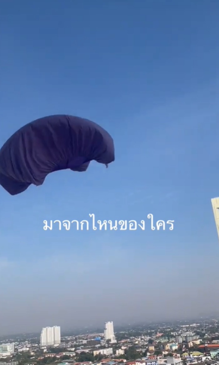 แมงกะพรุนลอยฟ้า