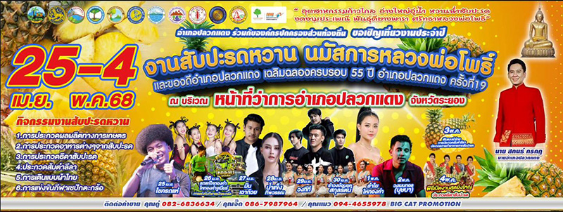 เทศกาลผลไม้ระยอง 2568 งานเทศกาลสับปะรดหวานและของดีอำเภอปลวกแดง