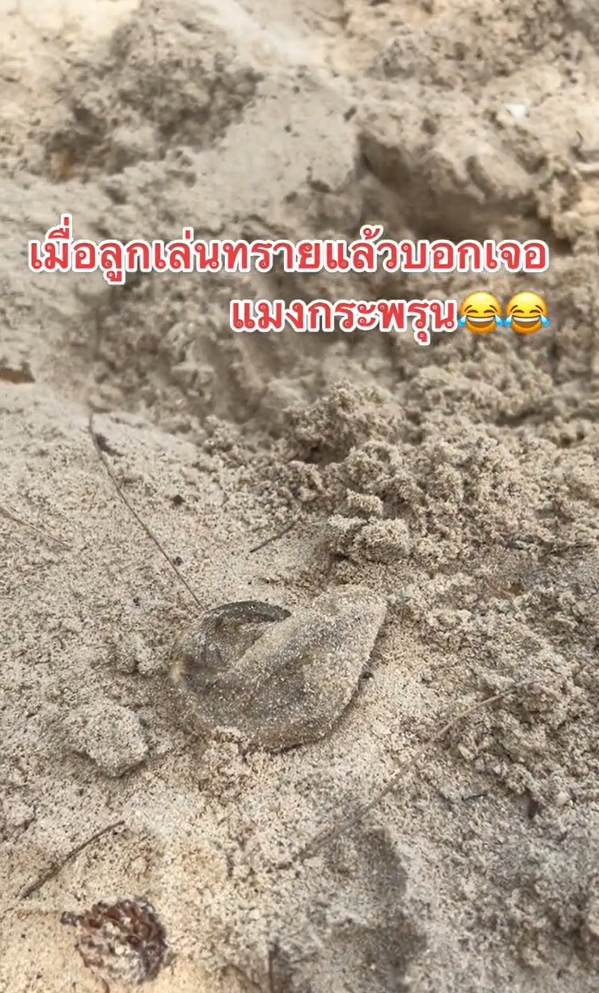 เล่นทราย