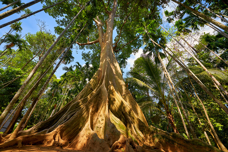 อุทัยธานี