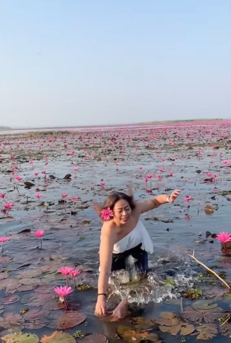 ทะเลบัวแดง