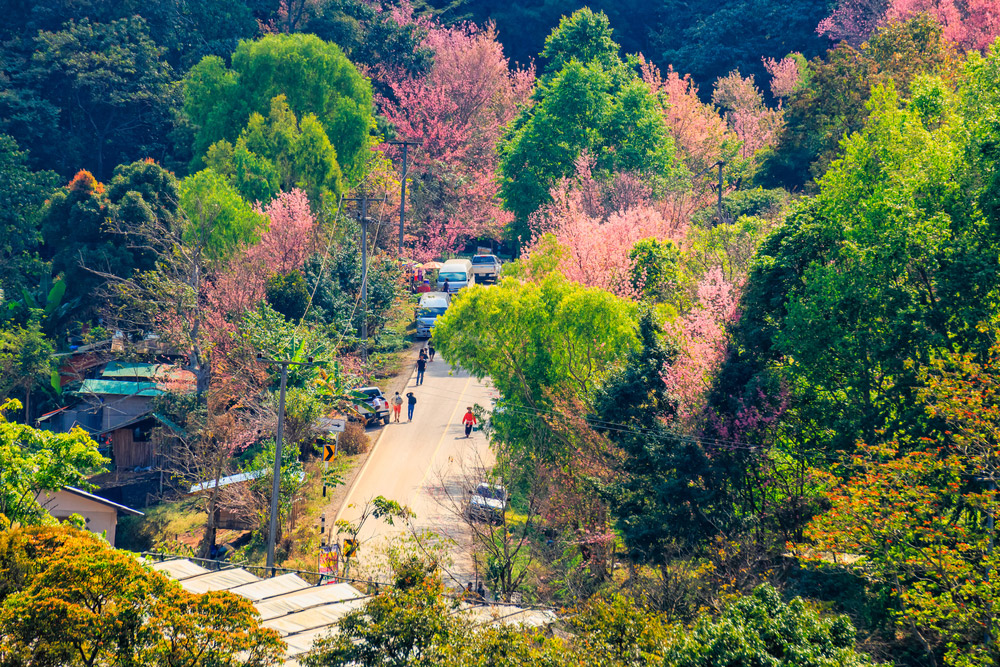 เที่ยวน่านหน้าหนาว