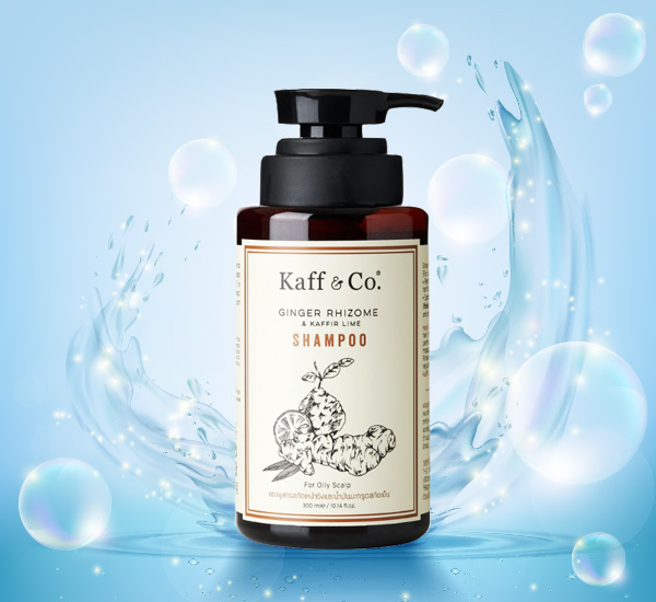 แชมพูสําหรับผมมัน