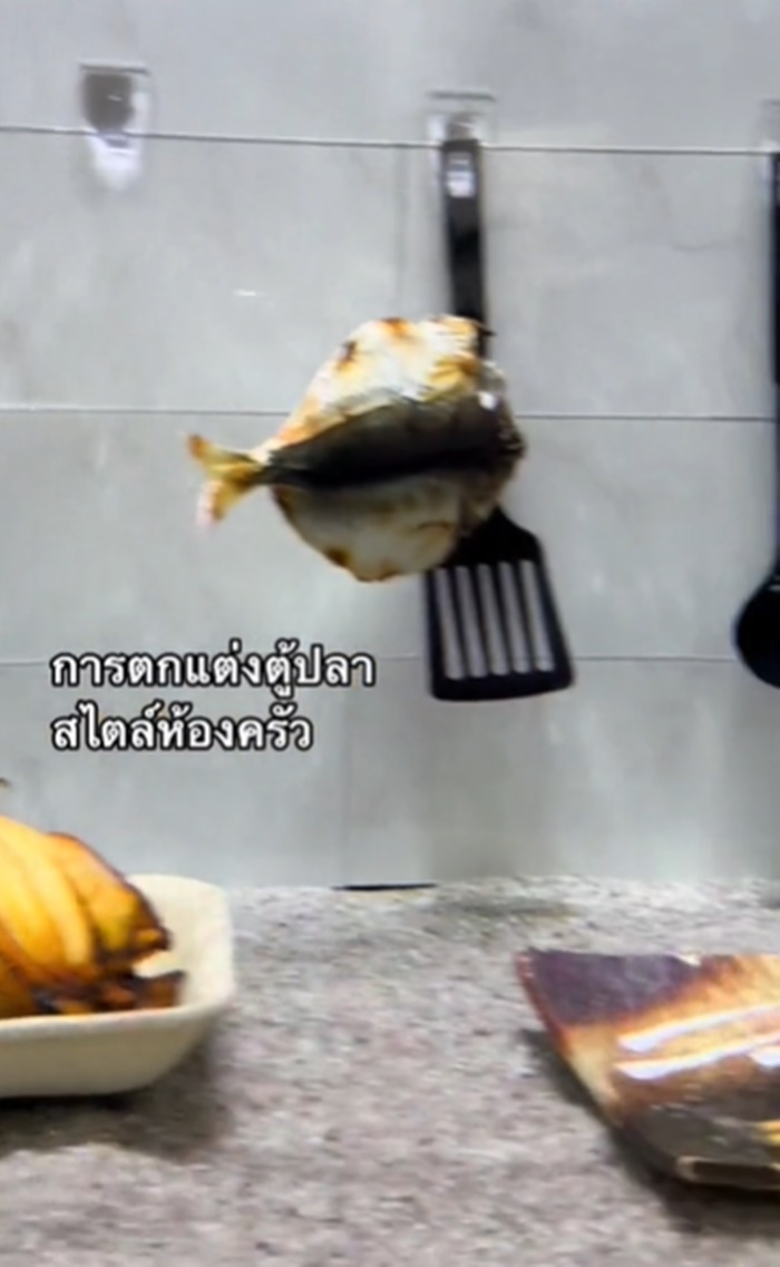 ตกแต่งตู้ปลา