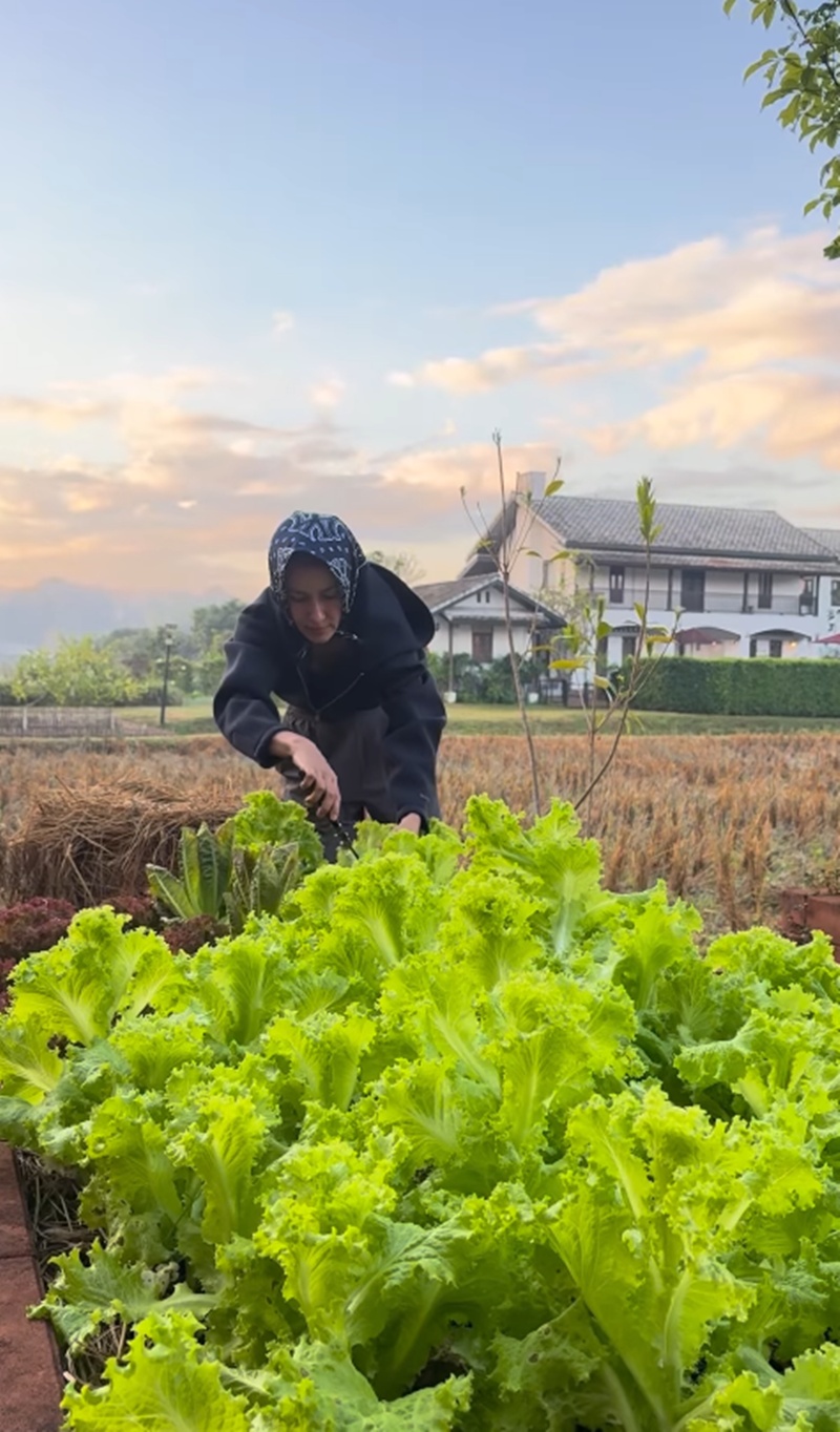 แอน ทองประสม