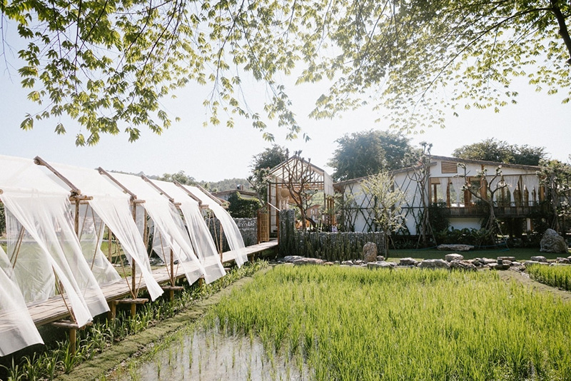 ร้านกาแฟน่าน