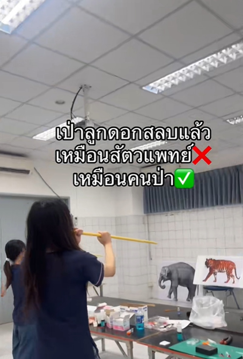 ลูกดอกยาสลบ