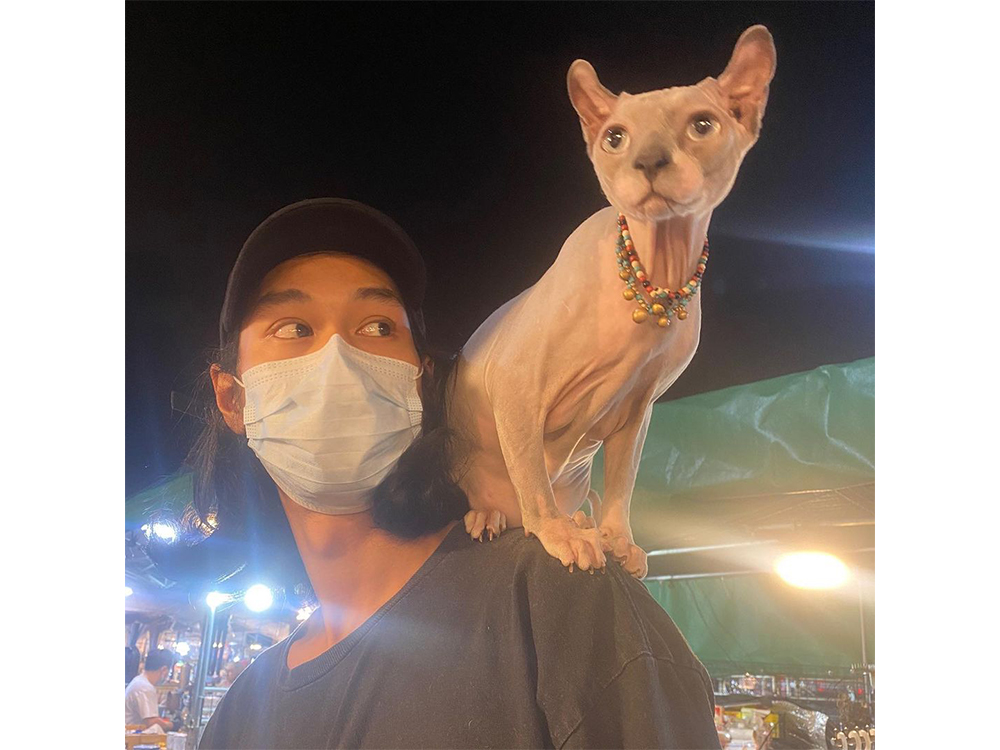 ประวัติเบิร์ดแฟนแตงโม