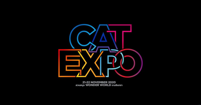 Cat Expo 7