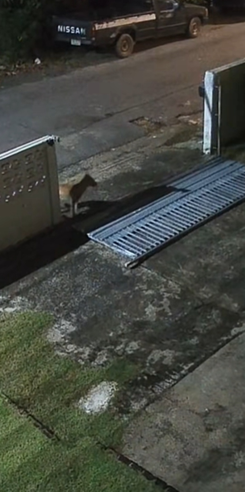 ประตูรั้วพัง