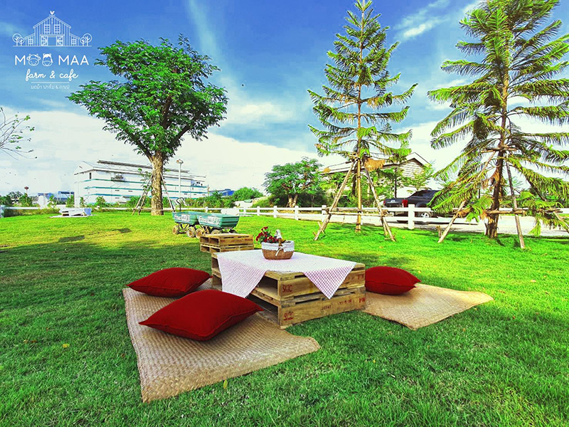 ร้านคาเฟ่สัตว์