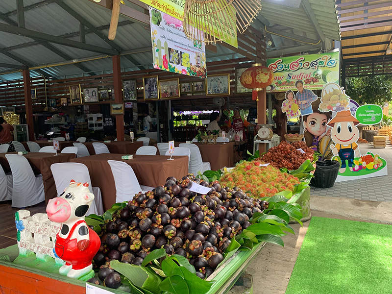 สวนสาวสุดใจ เที่ยวสวนผลไม้จันทบุรี 2568