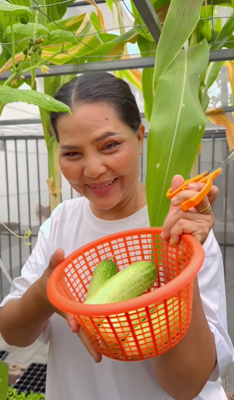 สุนารี ราชสีมา