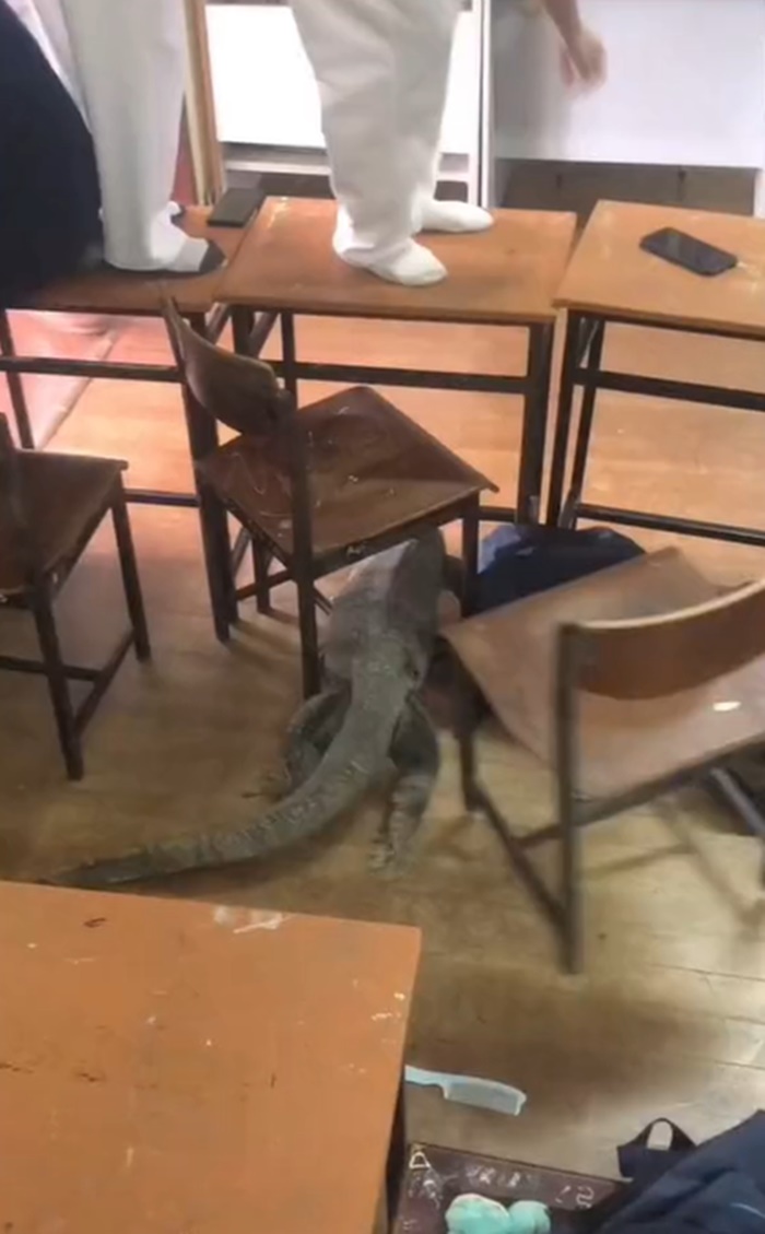 ตัวเงินตัวทอง