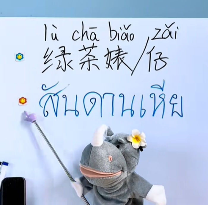 สอนภาษาจีน